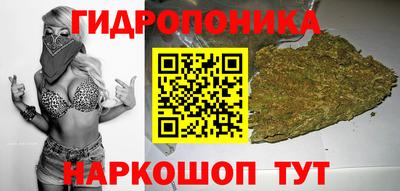 шишки Малоярославец