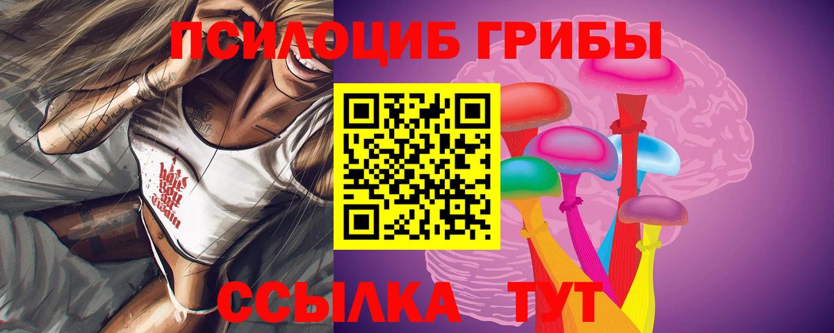 Псилоцибиновые грибы Psilocybe Тверь